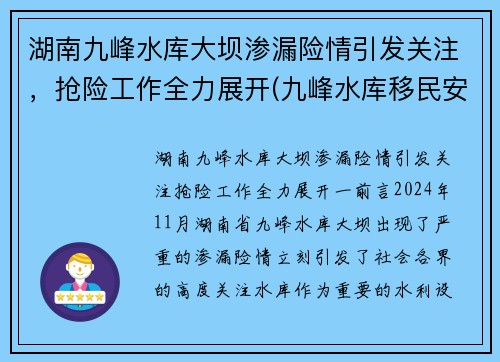 湖南九峰水库大坝渗漏险情引发关注，抢险工作全力展开(九峰水库移民安置政策)